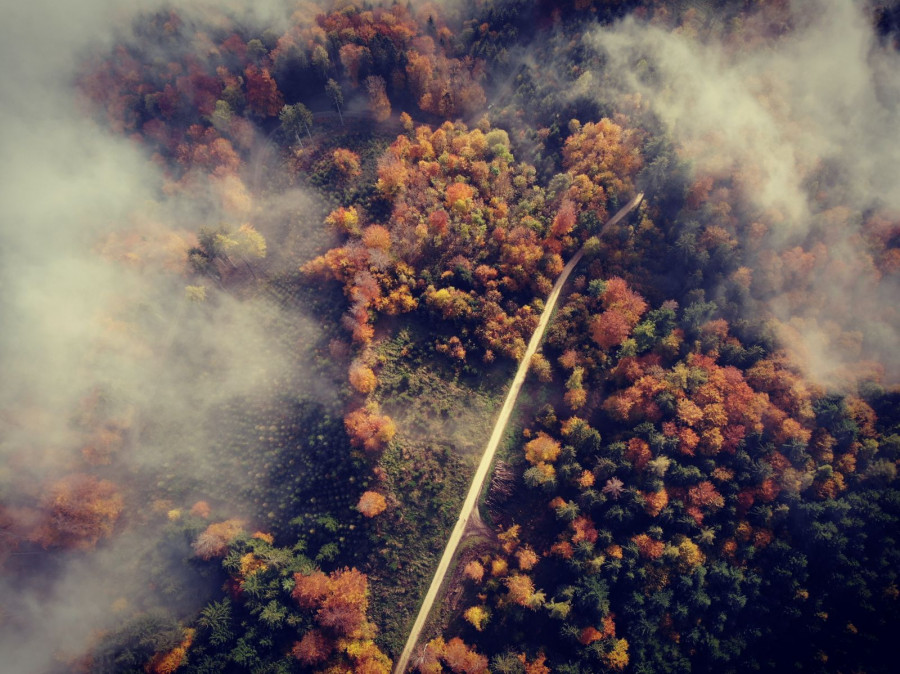Detección de incendios con satélites. Foto Telespazio.