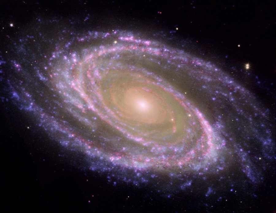 Galaxias. Foto CAB.