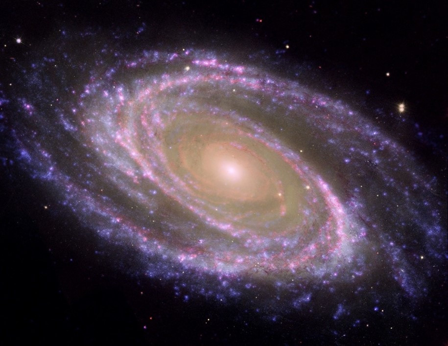 Galaxias. Foto CAB.