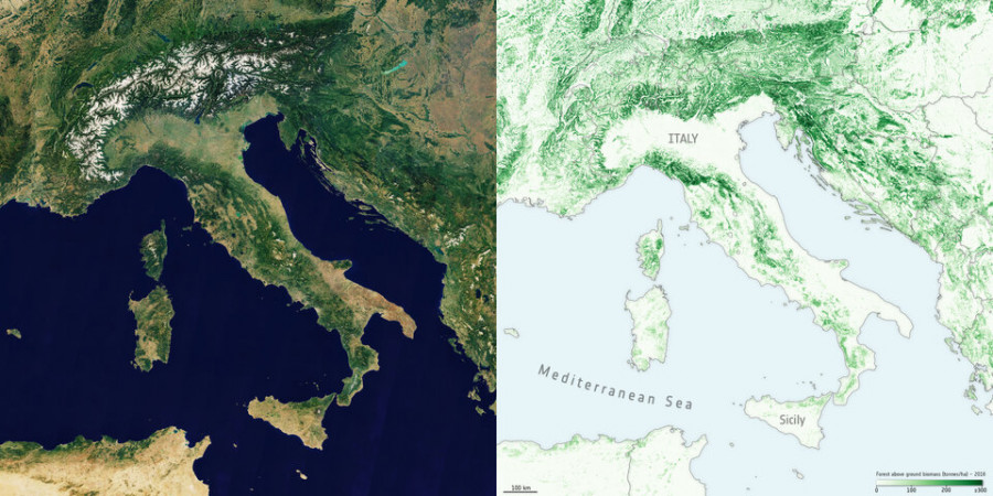 Mapa de biomasa. Foto ESA.