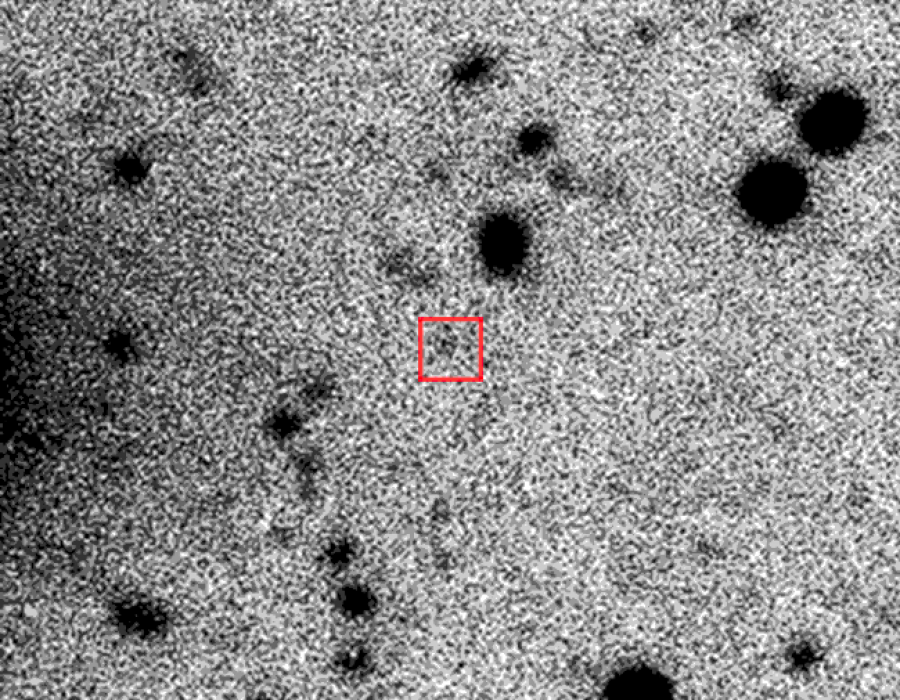 Bennu desde osiris