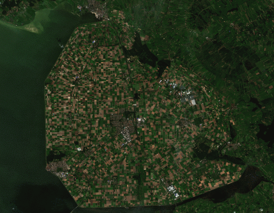 Drought in the Netherlands