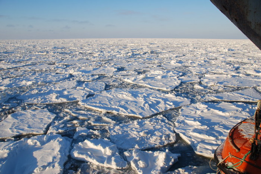 Hielo esa