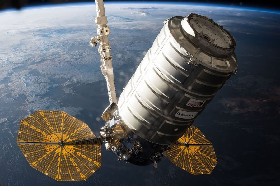 Cygnus