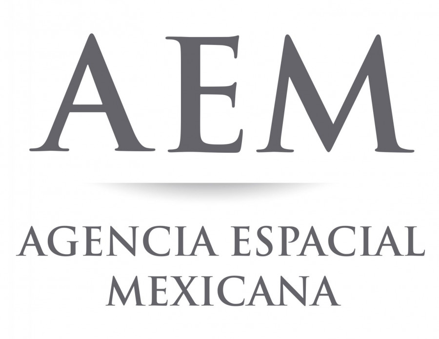 Logotipo AEM vertical