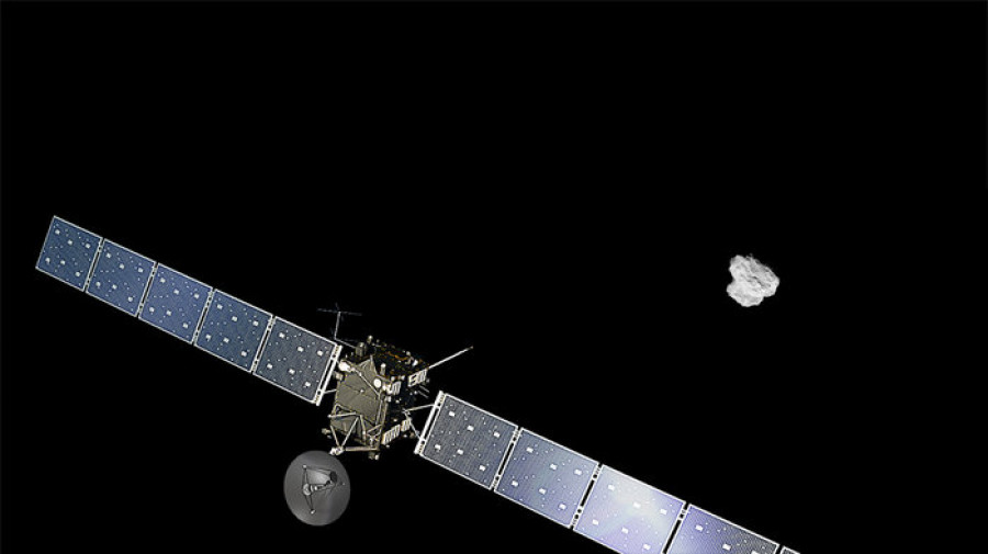 Rosetta cometa