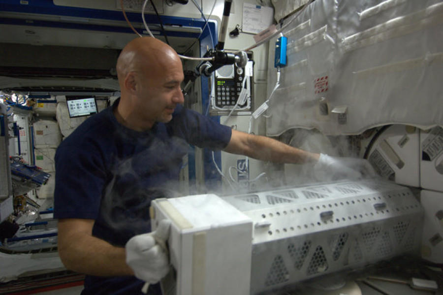 Luca with MELFI node full image