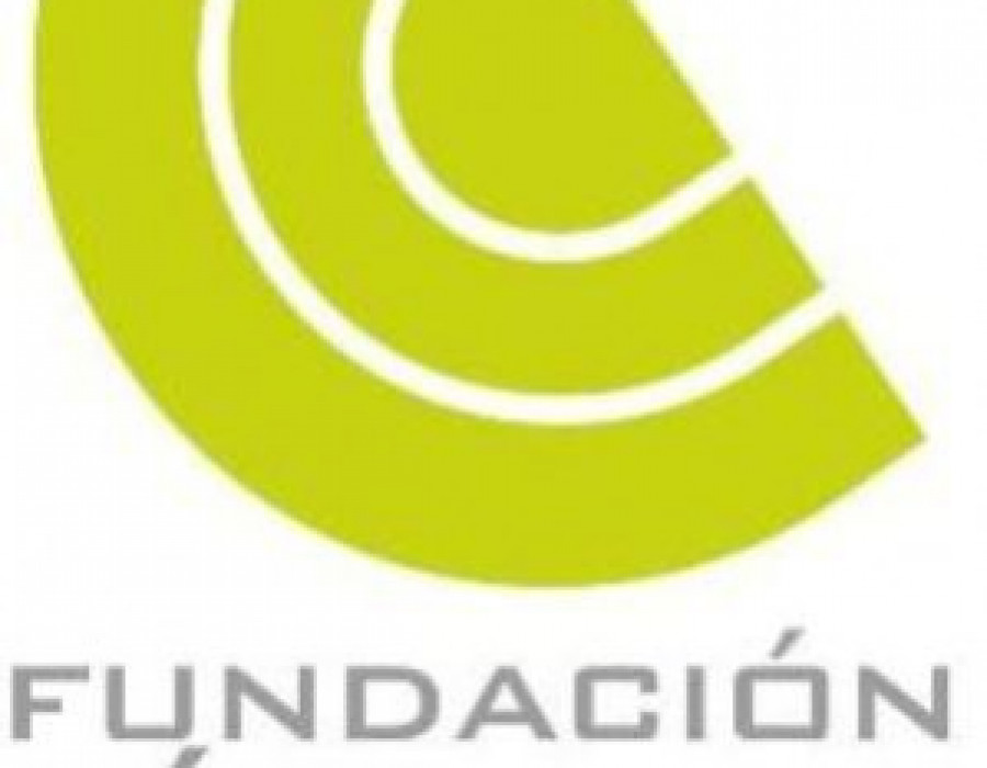 LOGO VERDE Fundacion Circulo1 299x500