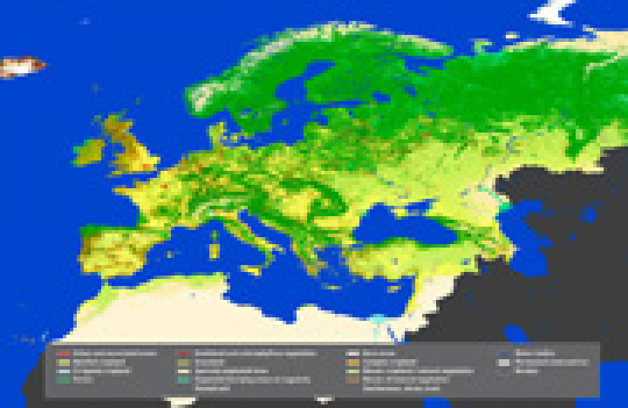 Globcorine 2009 web
