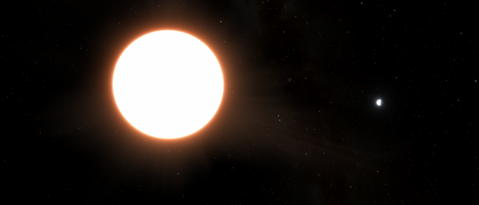Exoplanet LTT9779 b orbiting its host star pillars