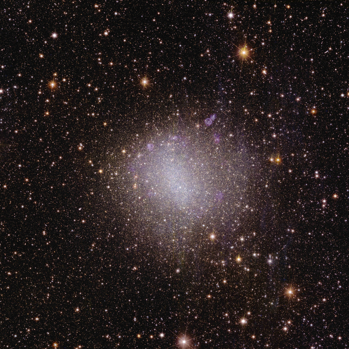 Euclid s view of irregular galaxy NGC 6822
