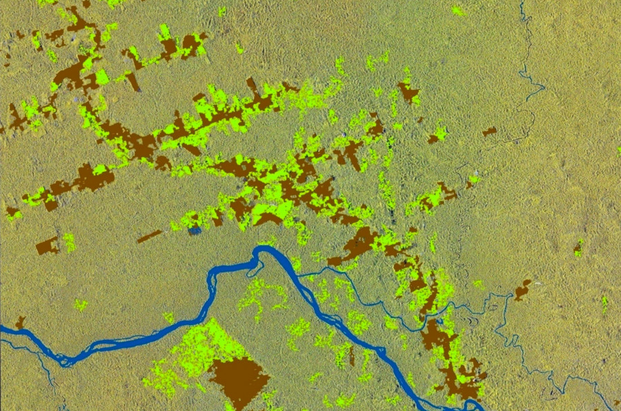Deforestación SAR Telespazio EO4Security