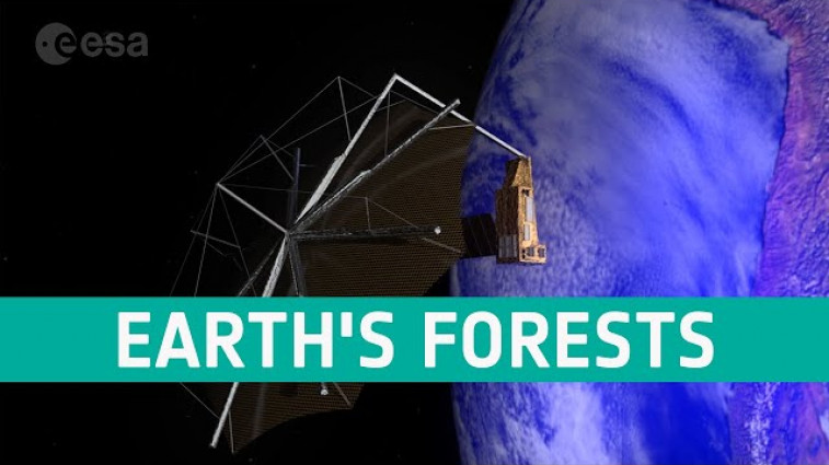 Biomass - Weighing Earth's forests from space